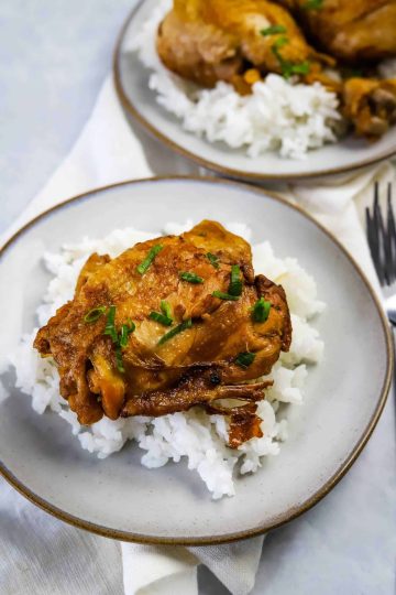 instant pot chicken adobo with rice on a plate