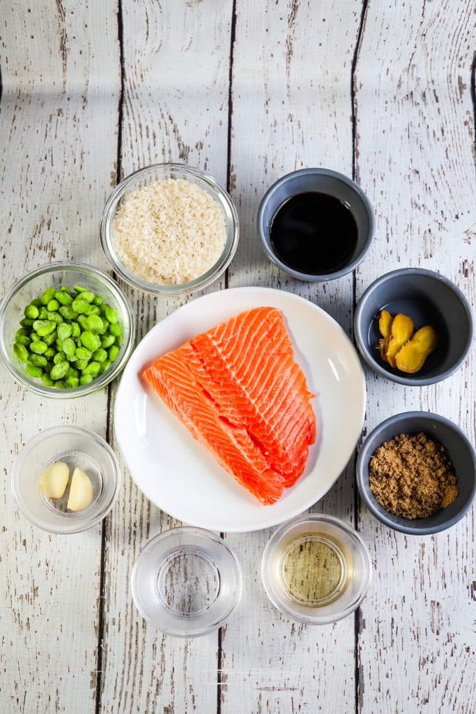 ingredients to make rice cooker teriyaki salmon rice
