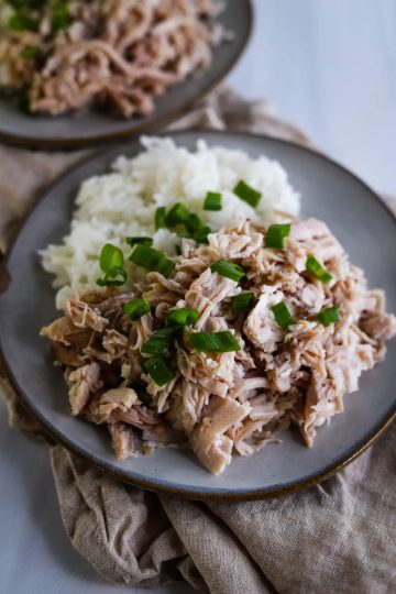 instant pot kalua turkey and rice on a plate