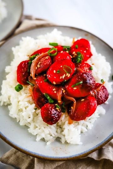 shoyu hot dog with rice on a plate
